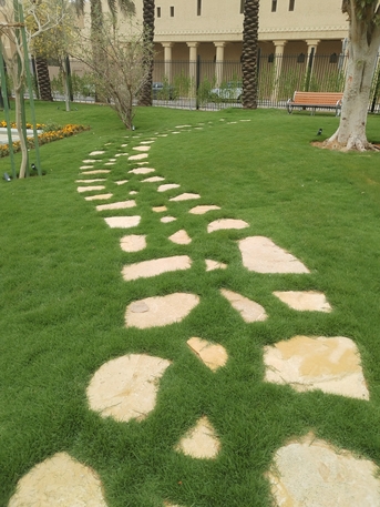 Riyadh, Farm/Garden, تصميم وتنسيق الحدائق الرياض