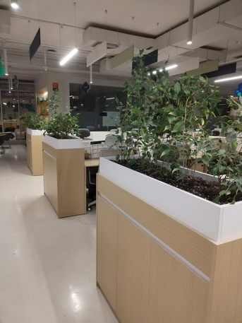 Riyadh, Farm/Garden, تصميم وتنسيق الحدائق الرياض