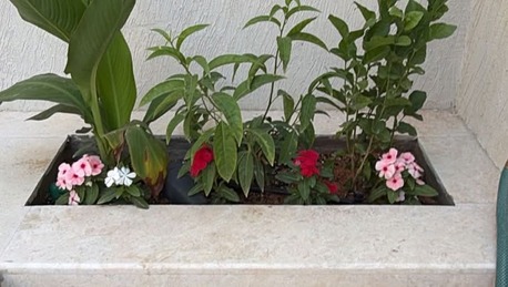 Riyadh, Farm/Garden, تصميم وتنسيق الحدائق الرياض