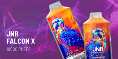 Biarritz, Collectibles, EUR 100,  Buy JNR Vapes Online In France With Bulk Disposable Deals