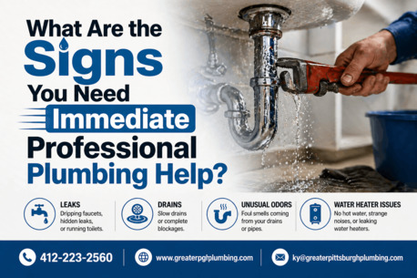New York, Business, What Are The Signs You Need Immediate Professional Plumbing Help?