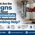 What Are The Signs You Need Immediate Professional Plumbing Help?