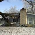 Professional Tree Service In Rochester NY, Including Expert Tree Removal In Rochester NY