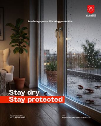 Dubai, Pest Control, Book Cockroach Control Now!