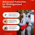 Book Pest Control In Ajman Today!