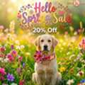 USD 28,  Girl Dog Collar With Bow | Limited-Time Spring Sale &ndash; 20% Off