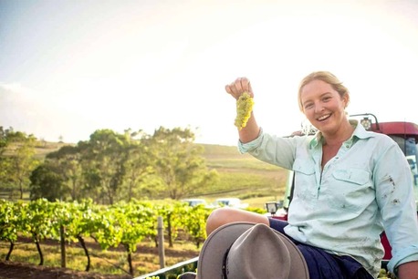 Sydney, Food, Explore Vineyards Hunter Valley For Quality Wine