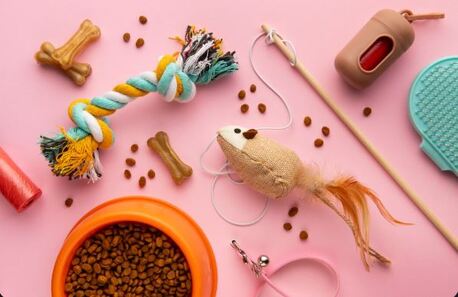 San Francisco, Pet Sitting, Small Animal Pet Toys | Fun & Interactive Toys For Small Pets