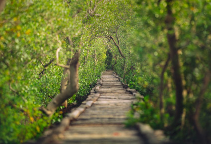 Mumbai, Travel, India Tour Operator