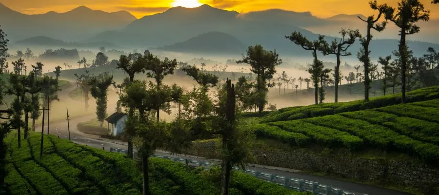 Mumbai, Travel, India Tour Packages