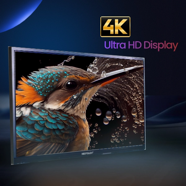 Chennai, Software Development, CCInfra - Digital AV Solutions & Interactive Displays Chennai