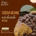 Cocoa Beans Wholesale In USA