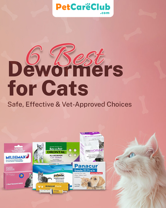New York, Pet Supplies, USD 12,  6 Best Dewormers For Cats: Safe, Effective & Vet-Approved Choices - PetCareClub