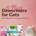 USD 12,  6 Best Dewormers For Cats: Safe, Effective & Vet-Approved Choices - PetCareClub