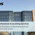 Professional Accounting Services Essential For Business Success In The UAE & KSA?