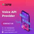 Reliable Communication With A Trusted Voice API Solution