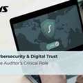 Why Should UAE Companies Invest In Cybersecurity And Digital Trust Audits?