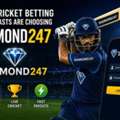Why Cricket Betting Enthusiasts Are Choosing Diamond247 &ndash; Wide Range Of Cricket Markets