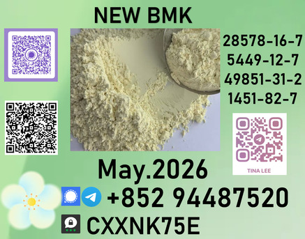 Algiers, Clothing & Accessories, USD 280,  P.m.k  Analgesic, And Anticancer Agents.