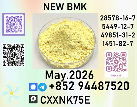 Algiers, Clothing & Accessories, USD 280,  P.m.k  Analgesic, And Anticancer Agents.