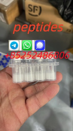 Tampa Bay, Health & Beauty Items, USD 15,  Hot Sale Freeze-Dried Peptide Peptides Semaglutide Powder CAS 910463-68-2