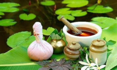 Ahmedabad, Health, Experience Authentic Healing At Sanskruti Ayurvedam | Dr. Deval Jethwa