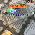 CAD 20,  Manufacturer Supply Peptides Retatrutide CAS 2381089-83-2