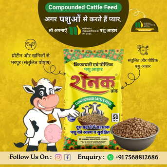 Indore, Creative, Looking For High Milk Yield? Try Raunak Cattle Feed