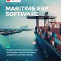 Maritime ERP Software For Shipping Companies