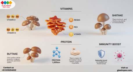 Mumbai, General, Trusted Mushroom Exporter In India &ndash; Glee Impex