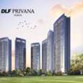 INR 85000000,  4 BR,  4000 Sq. Feet,  Book Your Dream Home At DLF Privana North, Sector 76 Gurgaon