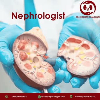 Mumbai, Health, Nephrologist In Mumbai For Long-Term Kidney Care