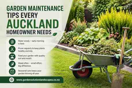 Auckland, Farm/Garden, Garden Maintenance Tips Every Auckland Homeowner Needs