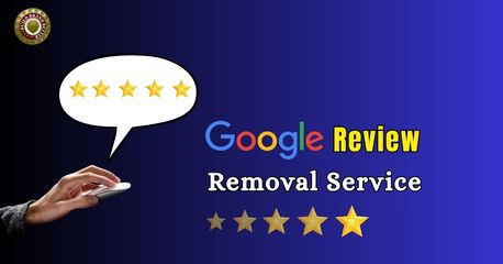New Delhi, Business, Remove Negative Google Reviews &ndash; Expert ORM Services