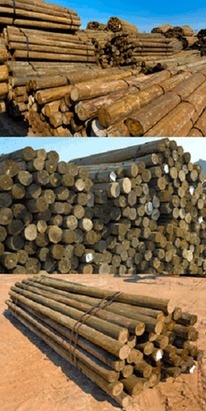 New York, Farm & Garden, USD 200,  Pressure Treated Fence Pickets In Georgia | B&M