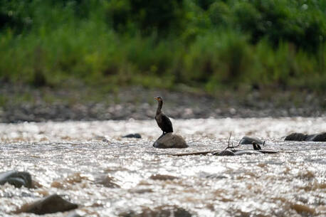 Calgary, Travel, Best Amazon Rainforest And Machu Picchu Tours