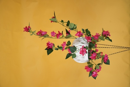 Mumbai, Household Items, INR 370,  Artificial Flowers & Home Decor Online In India | |NM