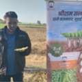 Heat Tolerant Pea Variety With Shriram Saloni For High Yield