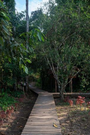 Toronto, Travel, Best Tambopata Reserve 4 Days Package | Book Now