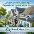 Local Gutter Cleaning Experts At SparkView Pro