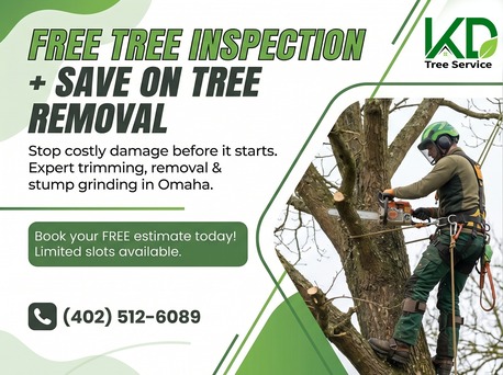 Mumbai, Construction, KD Tree Service Omaha NE