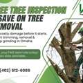 KD Tree Service Omaha NE