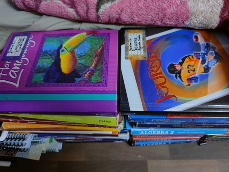 Riyadh, Books, SAR 4000,  70+ Books From Grade 4 To 12 - American Curriculum