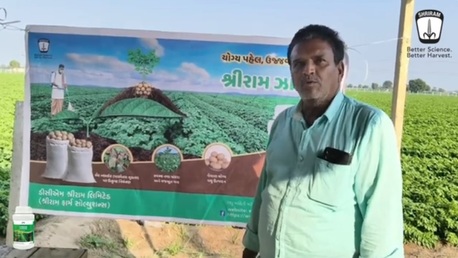 Mumbai, Farm/Garden, Crop Disease Control With Shriram Zarwin For Healthy Yield