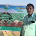 Crop Disease Control With Shriram Zarwin For Healthy Yield