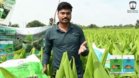 Mumbai, Farm/Garden, Improve Turmeric Yield With Shriram DripIT For Better Growth