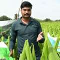 Improve Turmeric Yield With Shriram DripIT For Better Growth