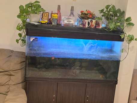 Sitra, Household Items, BHD 50,  Aquarium For Sale With Canister Pumb