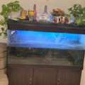 BHD 50,  Aquarium For Sale With Canister Pumb
