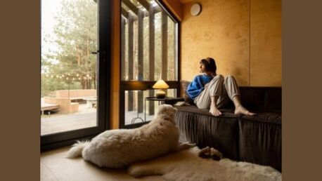New York, Travel, Pet-Friendly Vacation Rentals In Manzanita Near Beaches & Nature Trails